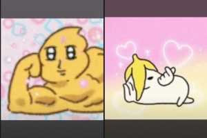 255343