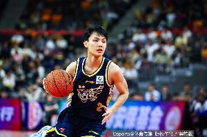 1994火箭季后赛