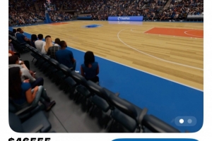 Nba国王美图